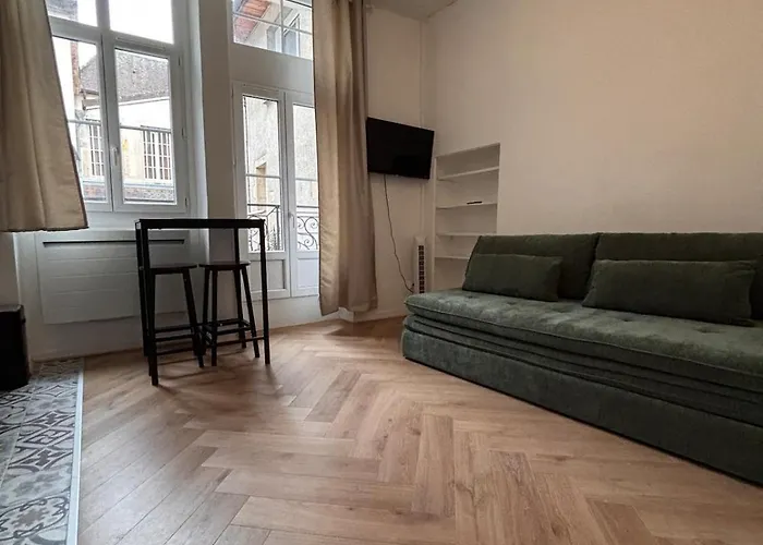 Appartamento Le Balcon Dijonnais - Cours Cambronne Digione